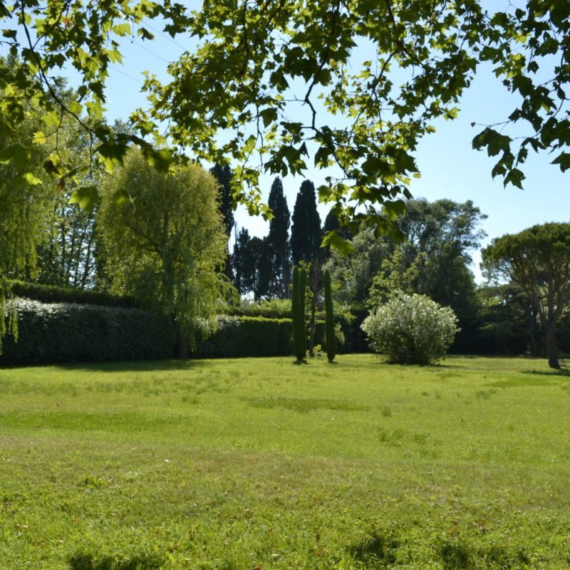 Petite réflexion sur le gazon 1 Photo d'un gazon dans un jardin privé