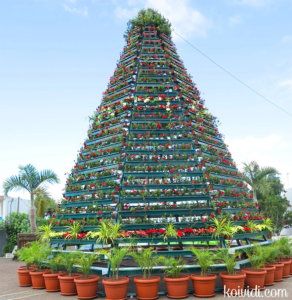 Petite réflexion sur les Sapins de Noël 5