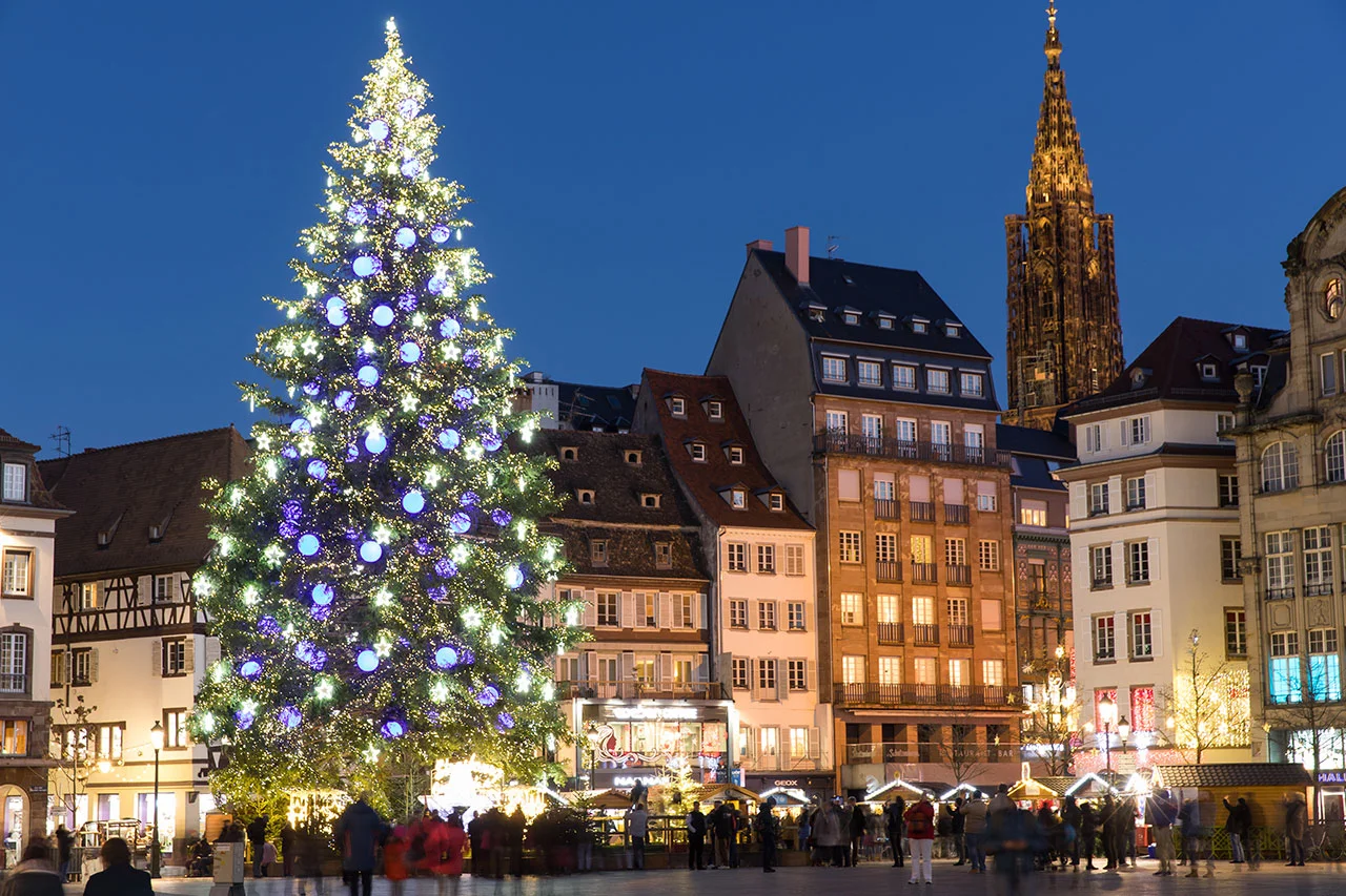 sapin de strasbourg