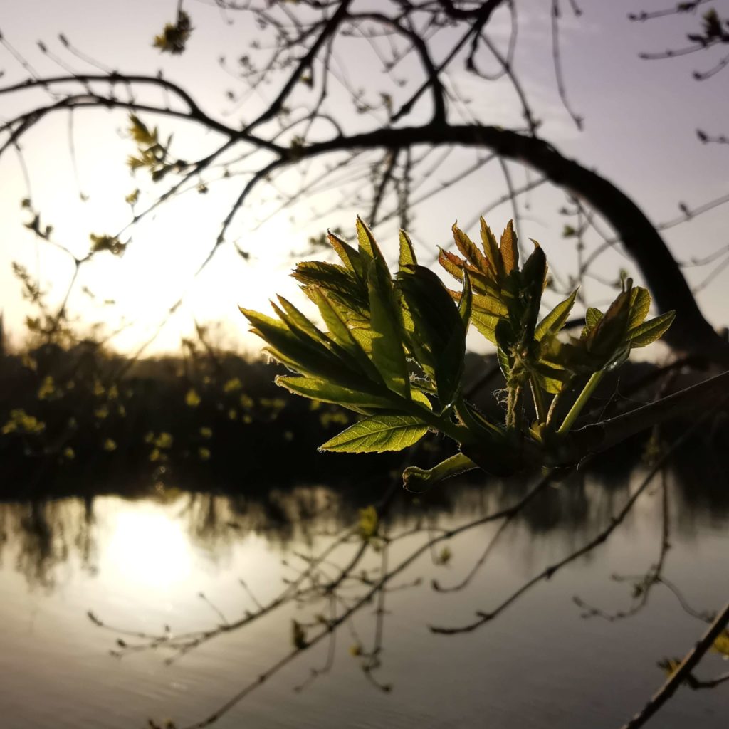 La biodiversité en entreprise 1