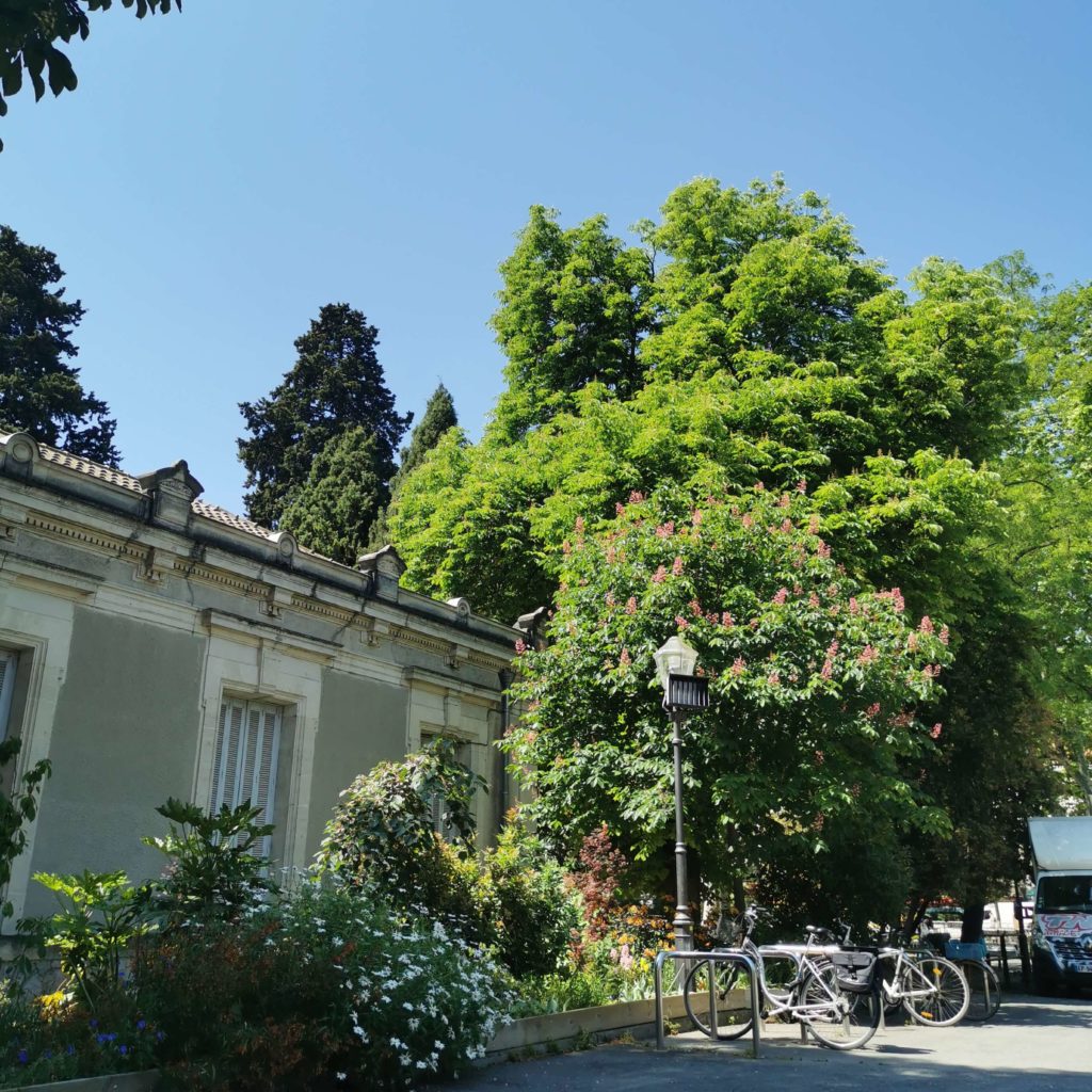 La biodiversité en entreprise 3