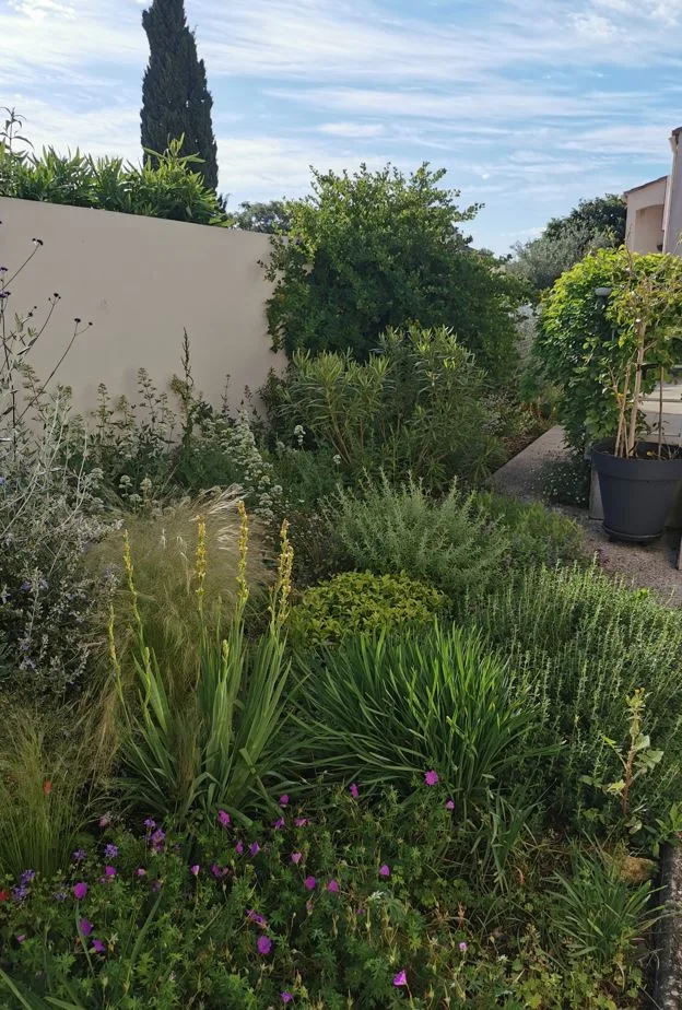 Concepteur paysagiste à Montpellier 1